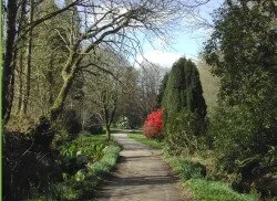 Heathercombe Gardens attraction, Newton Abbot