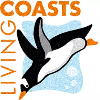 Living Coasts attraction, Torquay