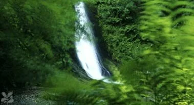 Lydford Gorge attraction, Tavistock